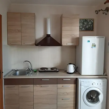 Penzion Mini-hotel Luch